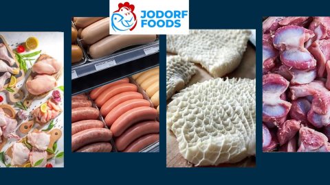 our services: your trusted frozen food supply partner